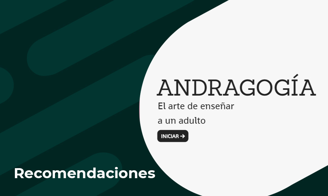 Educación de adultos y acompañamiento efectivo en ambientes virtuales