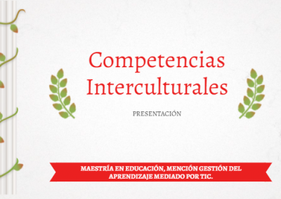 Competencias interculturales