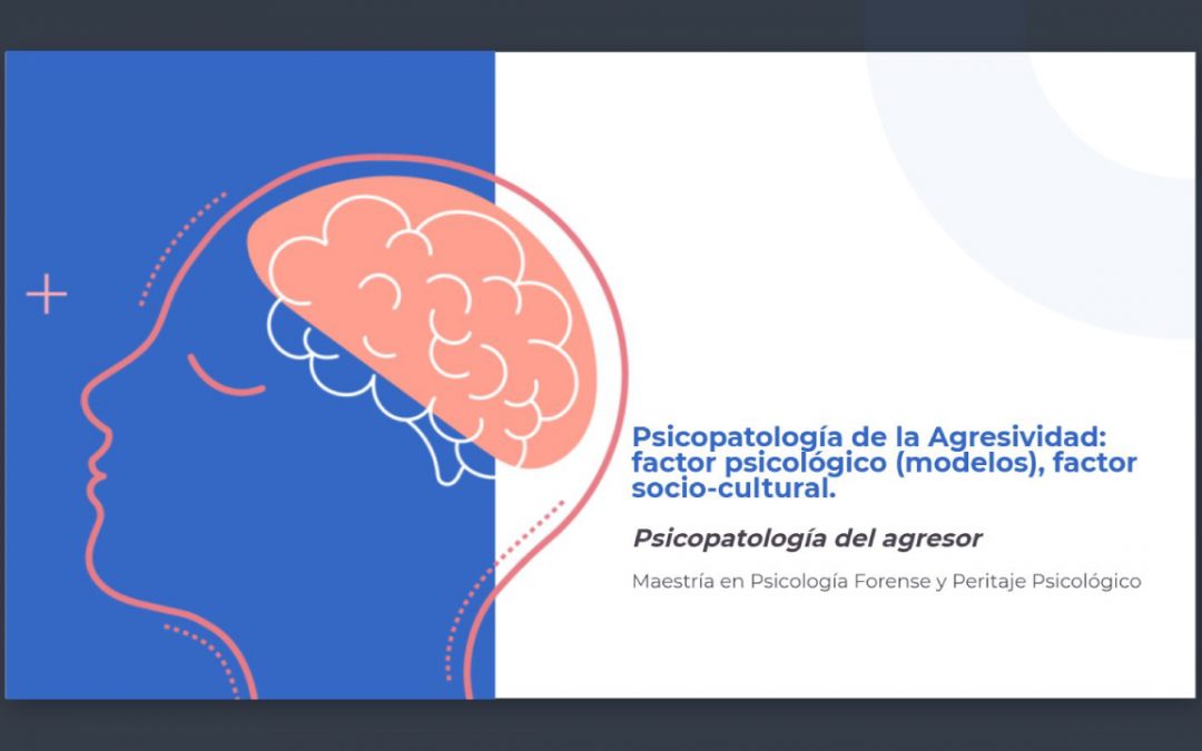 Psicopatología de la Agresividad: Factor Psicológico (modelos), Factor Socio-Cultural