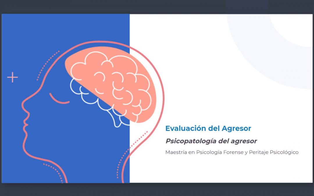 Evaluación del Agresor​