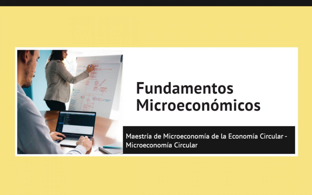 Fundamentos Microeconómicos