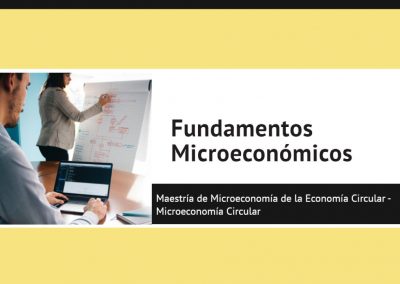 Fundamentos Microeconómicos