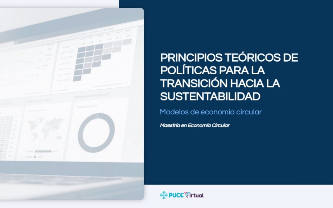 Principios Teóricos de Políticas para la Transición hacia la Sustentabilidad