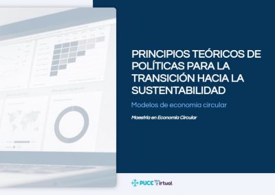 Principios Teóricos de Políticas para la Transición hacia la Sustentabilidad