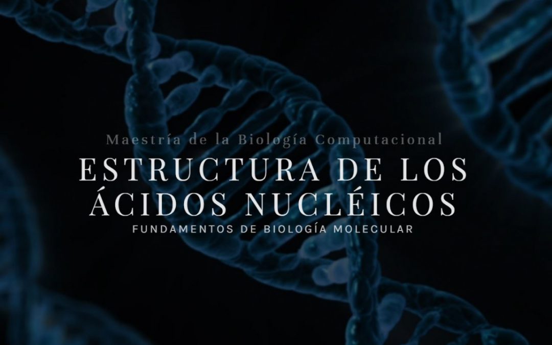 Estructura de los Ácidos Nucléicos
