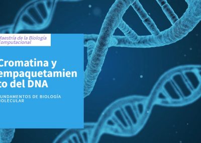 Cromatina y empaquetamiento del DNA