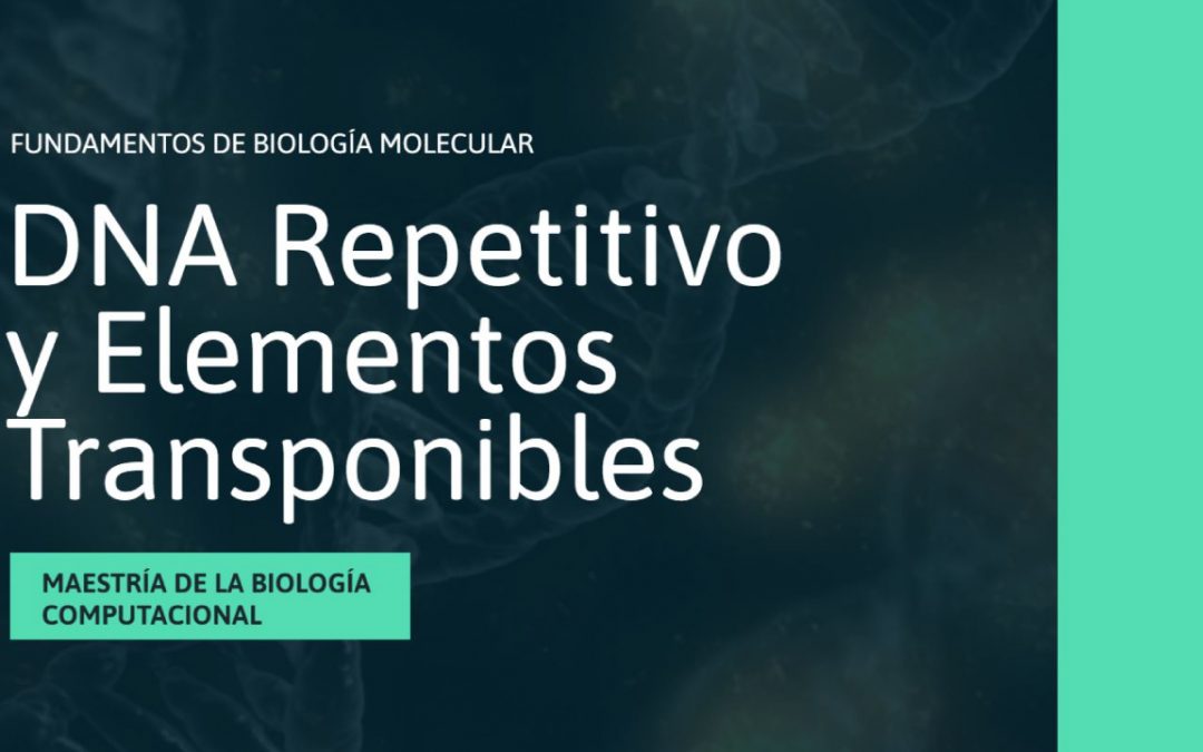 DNA Repetitivo y Elementos Transponibles