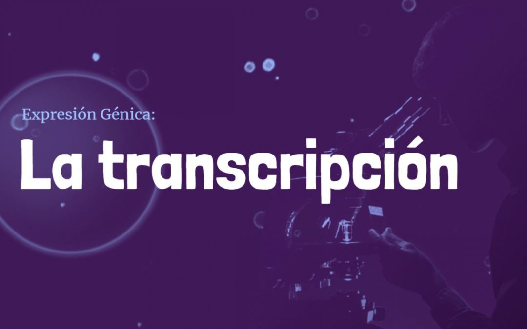 Expresión Génica: La Transcripción