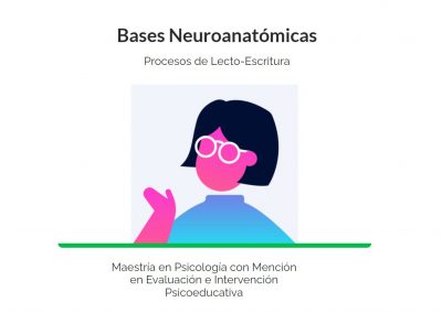 Bases Neuroanatómicas