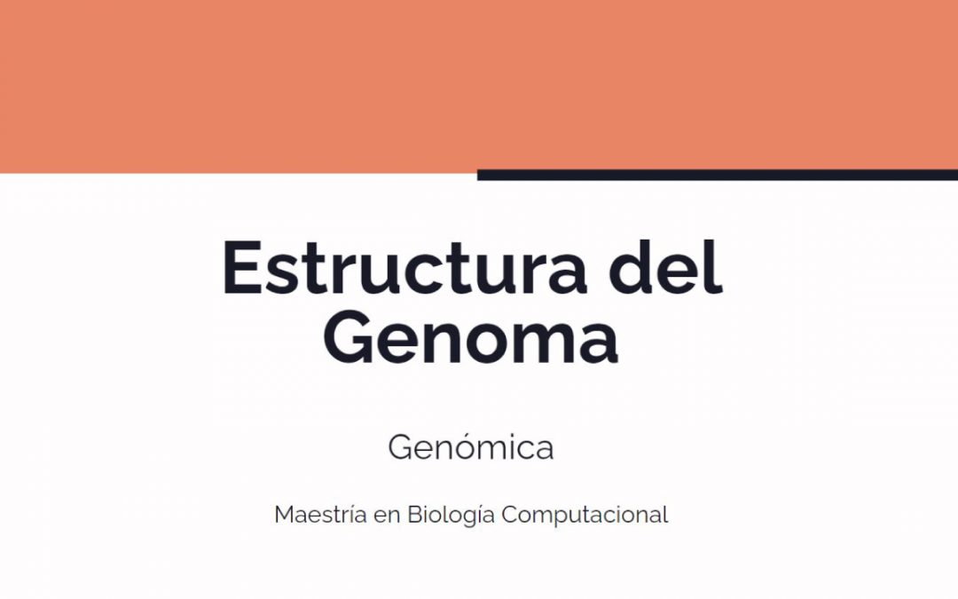 Estructura del Genoma