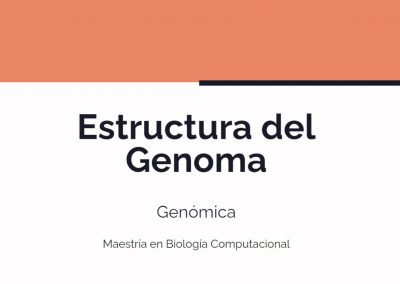 Estructura del Genoma