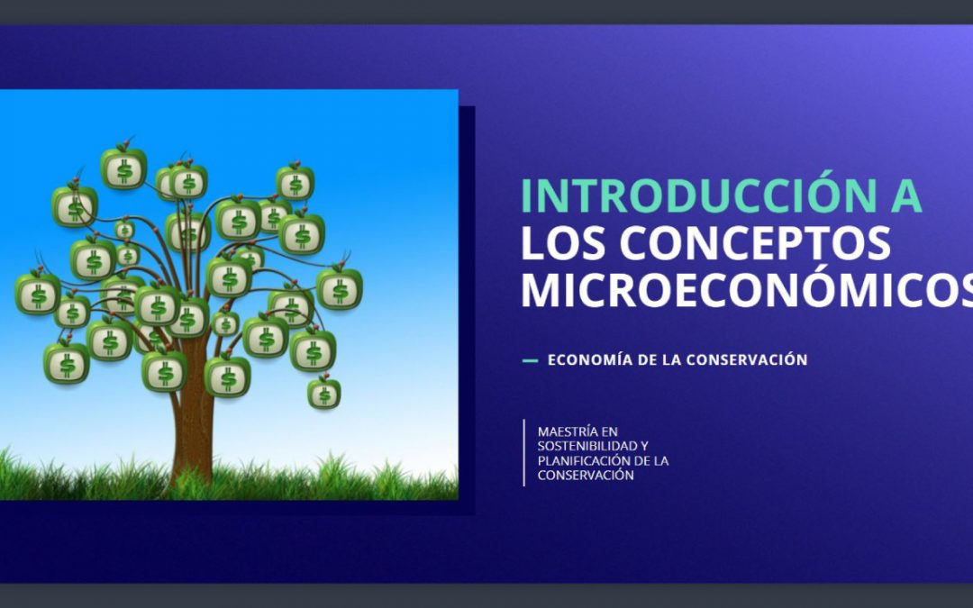 Introducción a los Conceptos Microeconómicos