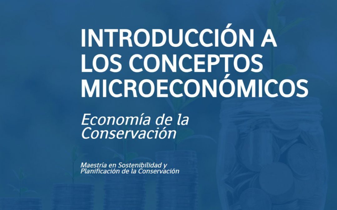 Introducción a los Conceptos Microeconómicos 2