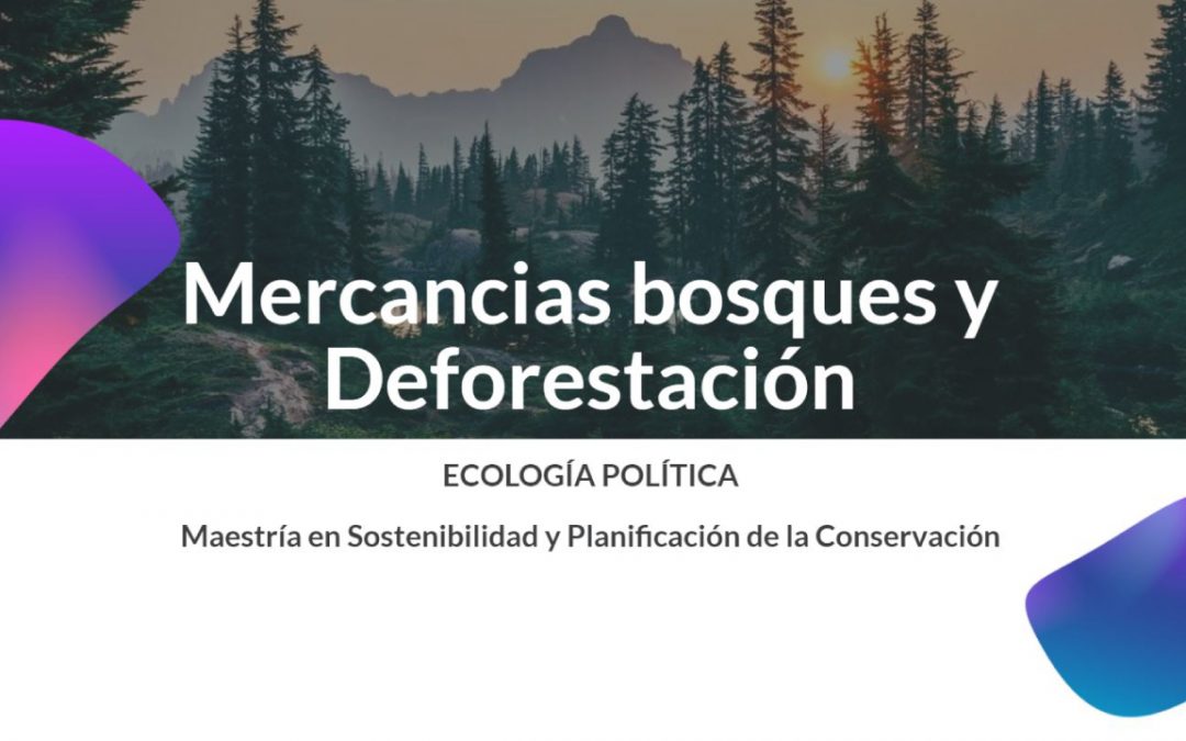 Mercancías, bosques y Deforestación
