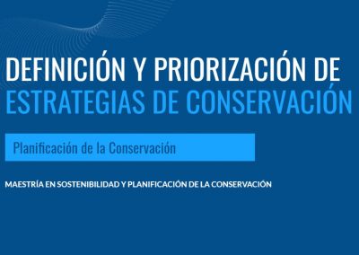 Definición y Priorización de Estrategias de Conservación
