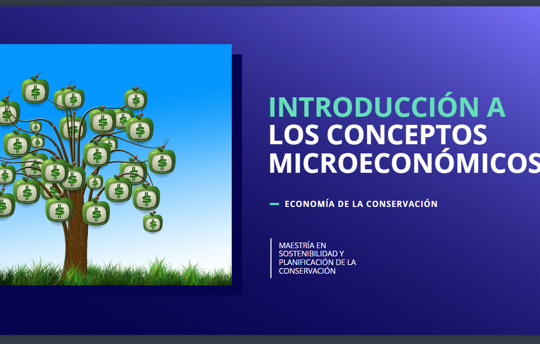 Introducción a los conceptos microeconómicos