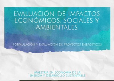 Evaluación de Impactos Económicos, Sociales y Ambientales