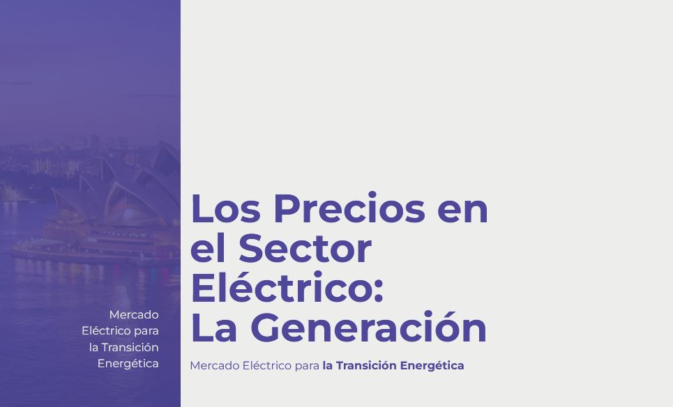 Los Precios en el Sector Eléctrico: La Generación.