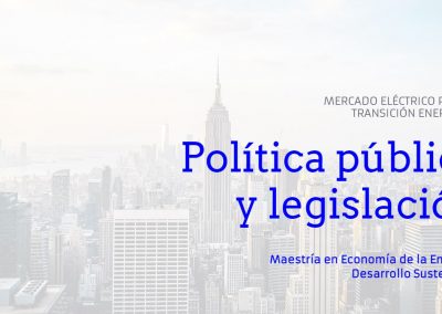Política pública y legislación.