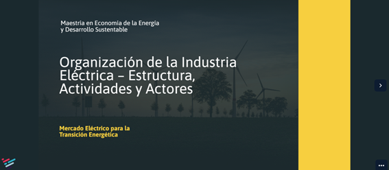 Organización de la Industria Eléctrica – Estructura, Actividades y Actores