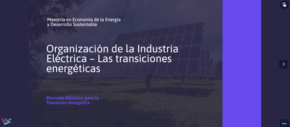 Organización de la Industria Eléctrica – Las transiciones energéticas