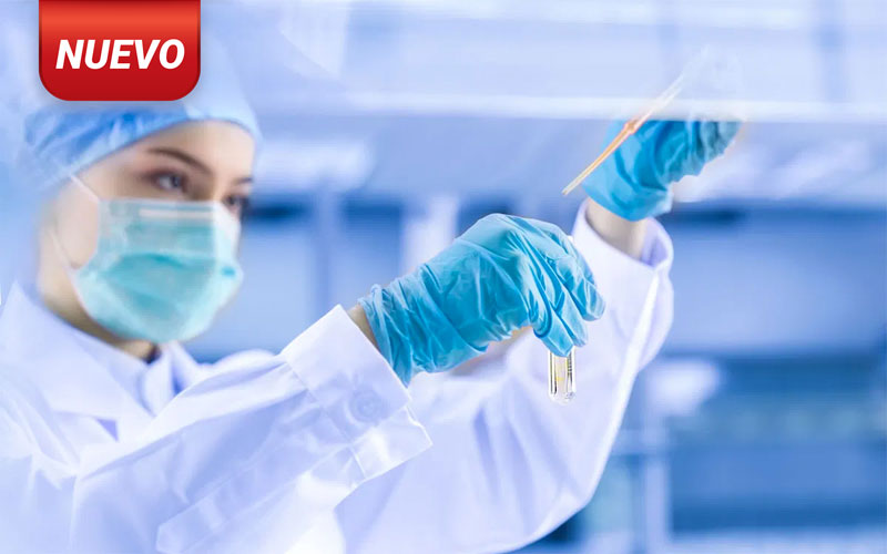 metodologia-investigacion2-800x500
