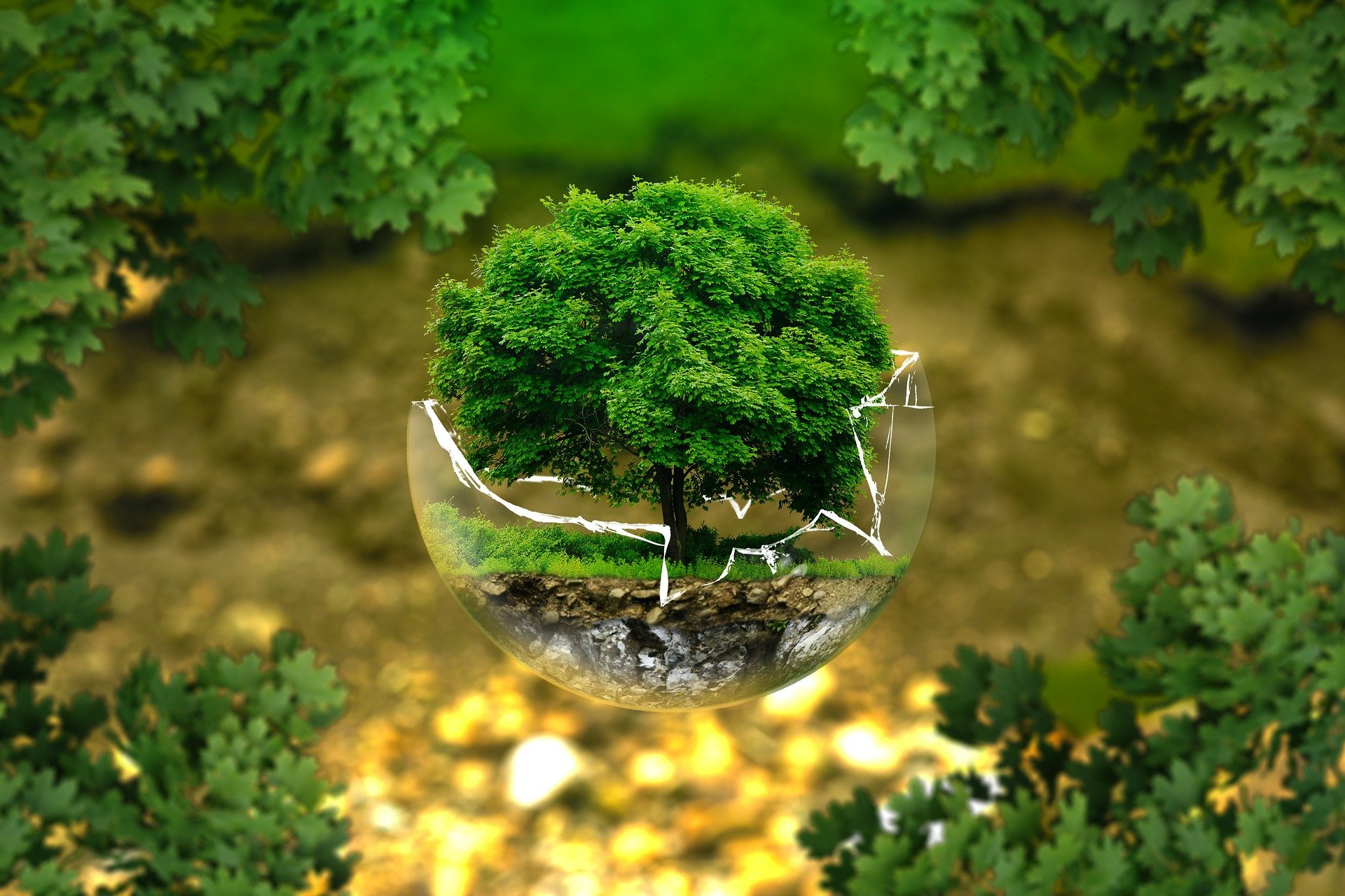ecologia-politica